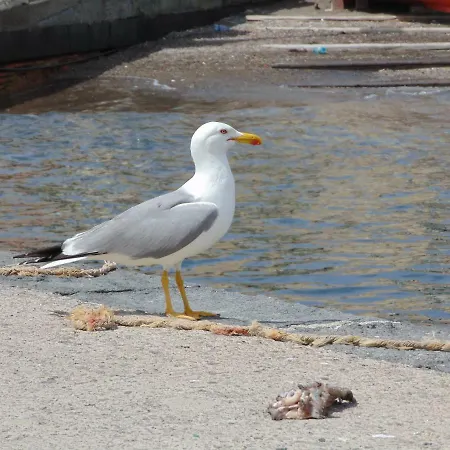 La Campanella Lipari * Acquacalda