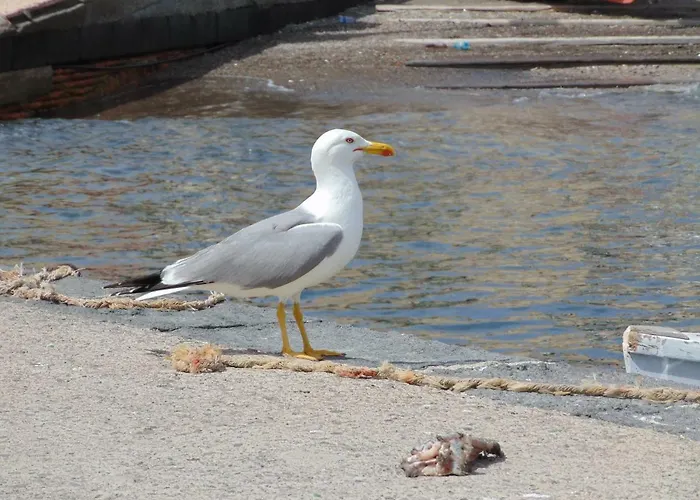 La Campanella Lipari * Acquacalda